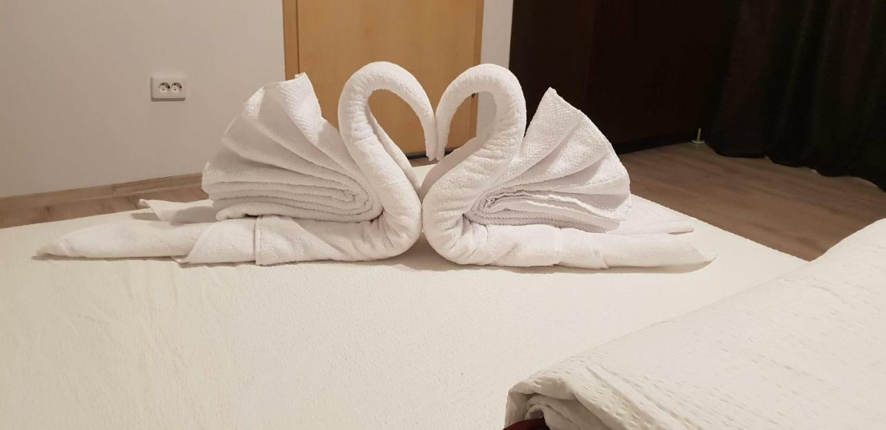 Casa Lions Hotel Тимишоара Екстериор снимка