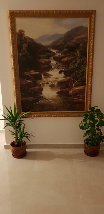 Casa Lions Hotel Тимишоара Екстериор снимка