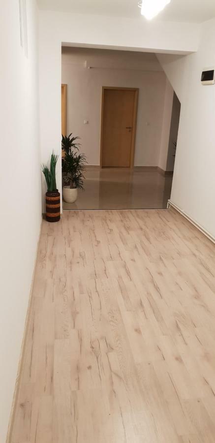 Casa Lions Hotel Тимишоара Екстериор снимка