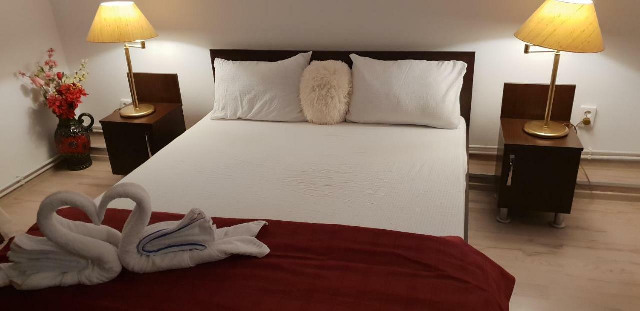 Casa Lions Hotel Тимишоара Екстериор снимка