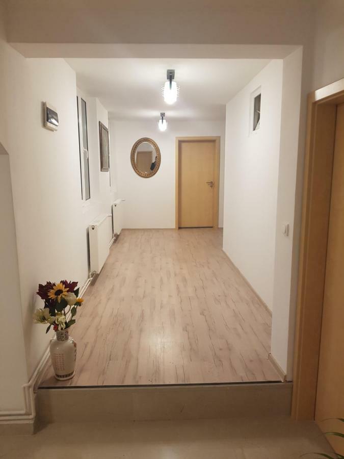 Casa Lions Hotel Тимишоара Екстериор снимка